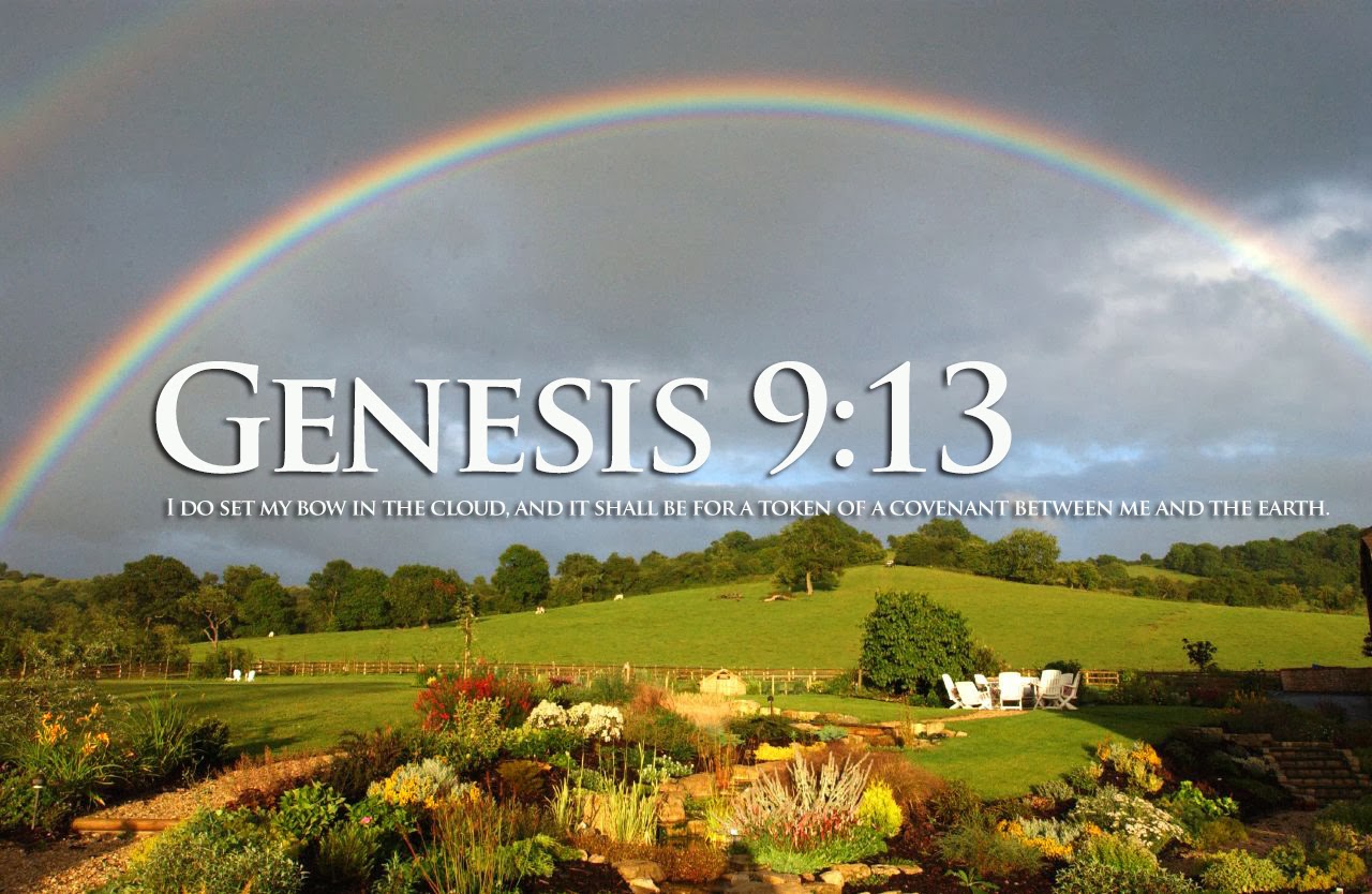Titus 2 Women: Genesis Bible Study